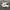 Lacoste Casual Sneakers Pria White