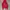 Nike Avant Garde Track Jacket Pria Red