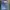 FUBU Streetwear Skater Jeans Pria Multicolor
