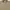 Polo Ralph Lauren Vintage Casual Polo shirt Pria cream tan photo 3