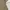 Polo Ralph Lauren Vintage Casual Polo shirt Pria cream tan photo 5