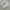 Casual Sweatshirt Pria white gray photo 3
