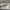 Casual Sweatshirt Pria white gray photo 4