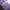 Casual Sandals & slide Kids purple photo 3