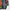 Coogi Casual Sweater Pria multicolor photo 5