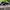 Nike Streetwear Sneakers Pria white black photo 1