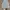 Fila Streetwear Luxury Vest Pria White Tan