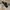 Vintage Sportswear Sneakers Pria black photo 2