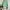 H&M Fairy Casual Crop Top Wanita Green