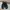 Vintage Sportswear Sneakers Pria black photo 3