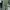 Avant Garde Casual Pria green photo 1