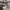 Japanese brand Streetwear Luxury Hoody Wanita gray photo 5