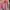 Casual Sweater Wanita pink photo 2