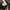 The North Face Sportswear Hoody Pria gray photo 6
