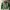 Casual Sweater Pria green photo 1