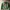 Casual Sweater Pria Green