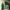 Casual Sweater Pria green photo 2
