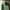 Casual Sweater Pria Green