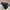 Asics Vintage Sportswear Sneakers Pria black photo 2