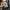 Moncler Luxury Avant Garde Formal shirt Pria multicolor photo 7
