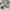 Acne Studios Casual Sweater Wanita white photo 5