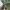 Vintage Pria green photo 5
