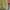 Japanese brand Streetwear Hoody Pria yellow photo 4