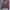 Japanese brand Streetwear Y2K Hoody Pria brown photo 1