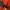 Kenzo Luxury Sweater Wanita orange photo 4
