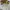 Ikea Streetwear Luxury Hoody Wanita white photo 1