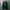 Pancoat Casual Hoody Pria green photo 1