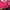Columbia Gorpcore Puffer jacket Pria pink photo 8