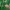 WHO.A.U Vintage Varsity jacket Pria green photo 3