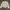 Minimalist Casual Sweater Pria cream photo 6