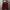 Casual Track jacket Pria red photo 1