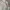 Nike Streetwear Skater Sweater Pria gray photo 4