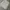 Nike Streetwear Y2K Sweater Pria gray photo 2