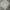 Nike Streetwear Y2K Sweater Pria Gray