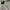 Nike Streetwear Y2K Sweater Pria gray photo 4