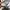 Futurist Bags & purse Wanita pink gray photo 4