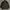 Vintage Luxury Jumper Pria brown photo 6
