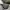 Valentino Luxury Reworked Bags & purse Wanita green photo 3