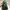 Valentino Luxury Reworked Bags & purse Wanita green photo 5