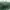 Valentino Luxury Reworked Bags & purse Wanita green photo 7