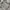 Casual Formal shirt Pria gray photo 3