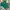Casual Jersey Pria green photo 6