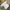 Casual T-shirt Pria white photo 4