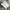 Casual T-shirt Pria white gray photo 1