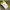 Casual T-shirt Pria white yellow photo 1