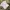 Casual T-shirt Pria white photo 2